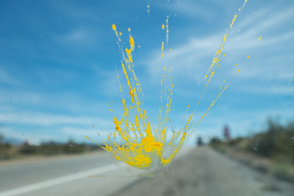 Insect splatter windshield: Photo Credit:  ID 144236934 © Larry Gevert | Dreamstime.com