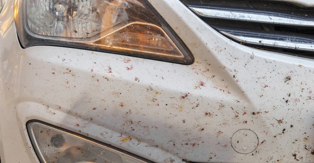 Pro Tips: How To Maintain The Sparkle When Driving Far From Home